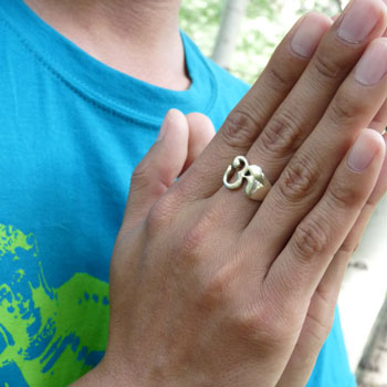 Ohm "Cutout" Ring #2